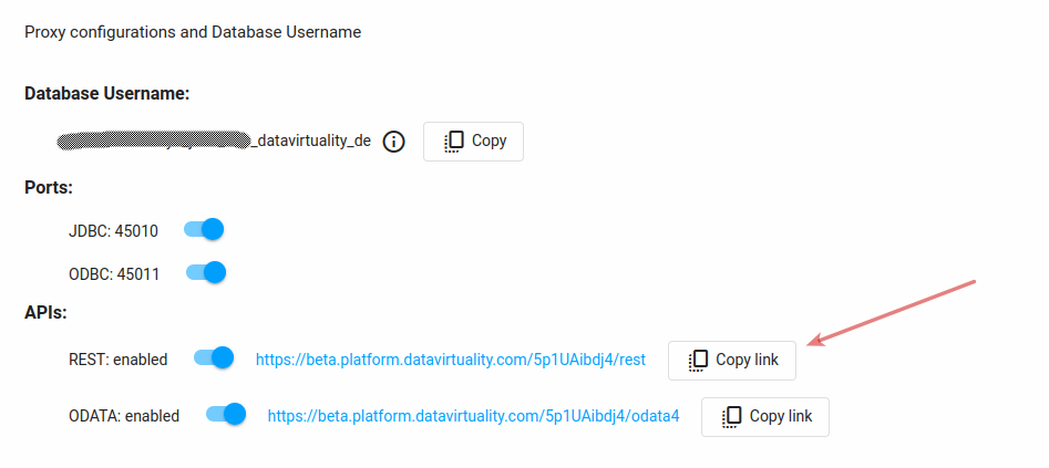 Displays the database username, JDBC and ODBC ports, and enabled REST and OData APIs with a button to copy the REST API link.